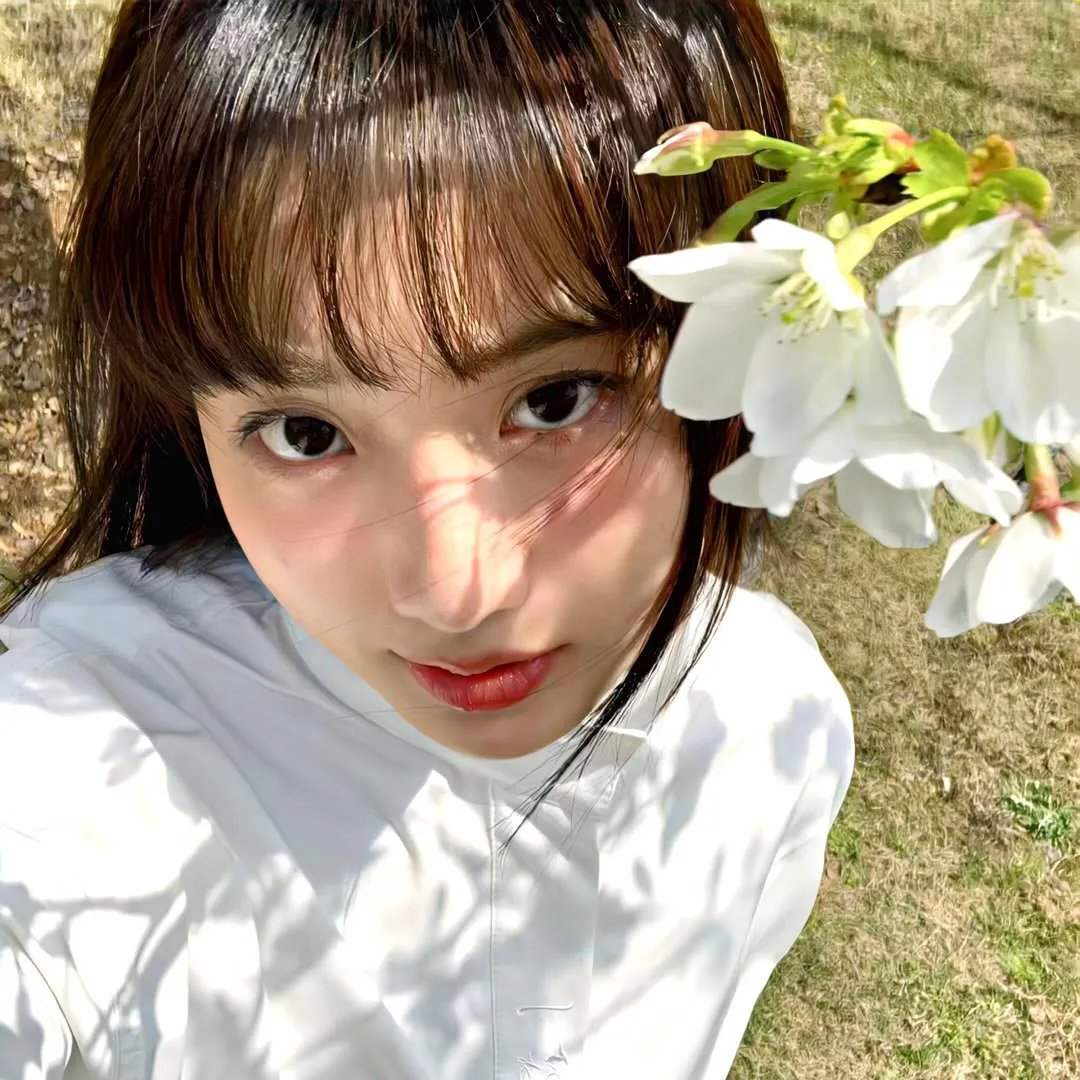 我的天才女友第二季